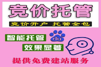 SEM代运营服务公司案例：提升广告投放效果